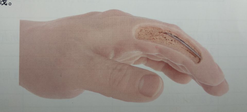 运动拉链手套,美容超薄手套