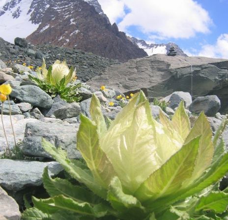 魏子昌经典诗词,魏子昌律诗全集