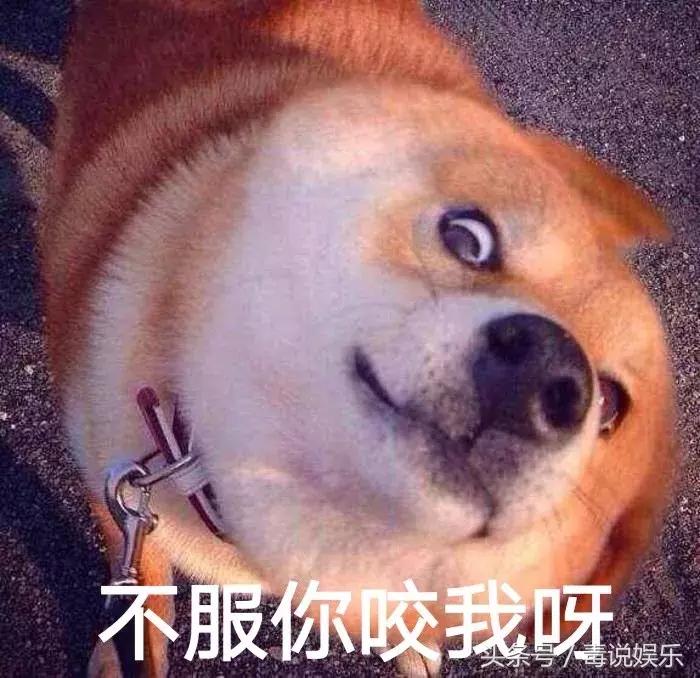 还是那些的套路，这部恐怖片，为什么让人产生了强烈的生理反应？