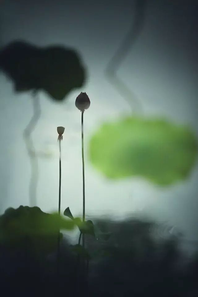 关于时光的唯美小诗,自然时光唯美散文诗歌简短