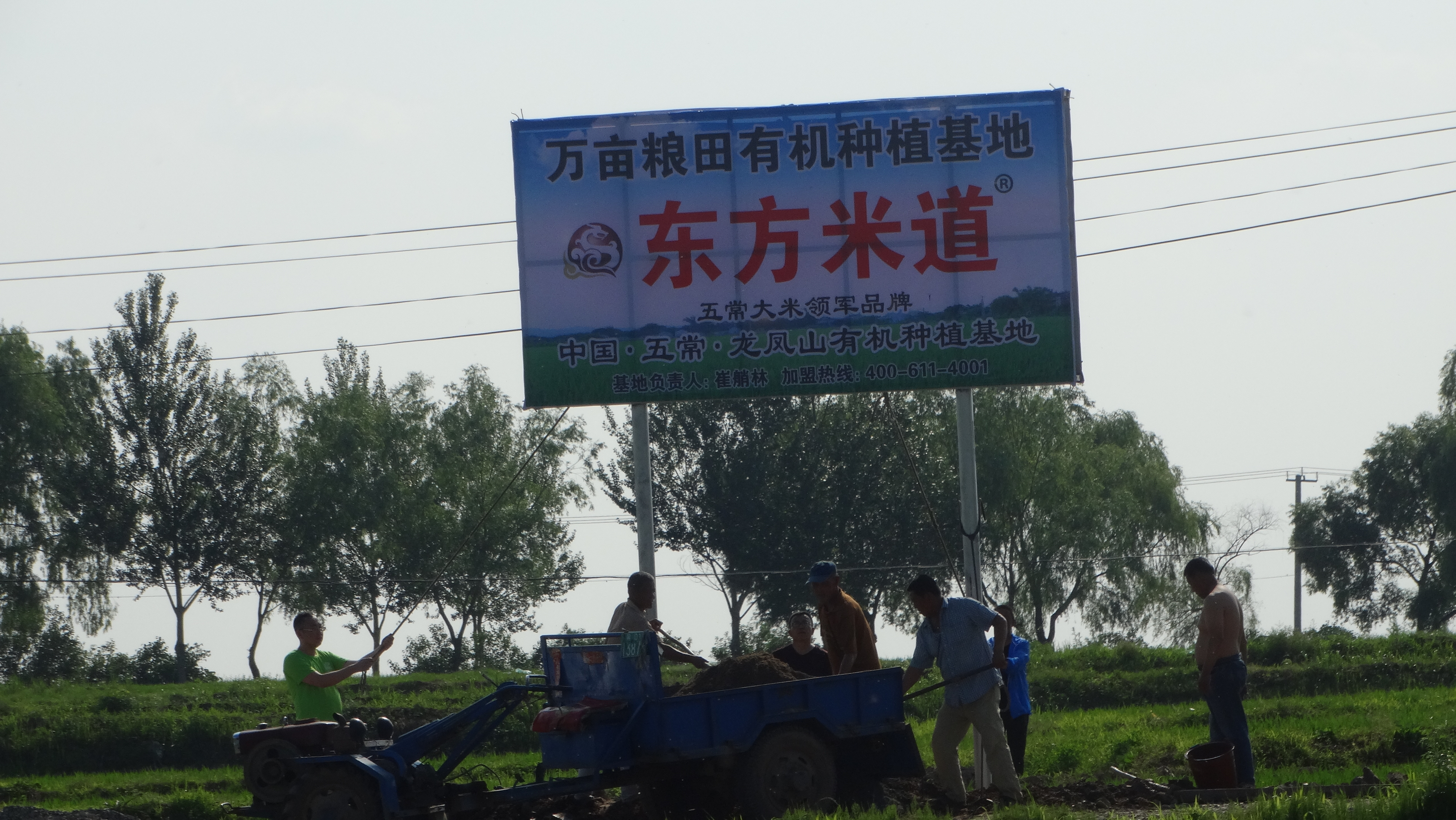 良知企业东方米道呼唤换回小时候的味道