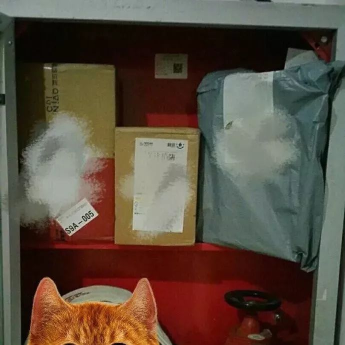 快递到了没人配送,快递到了没人在家会怎么样