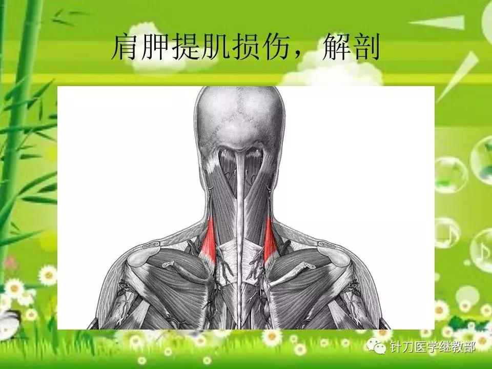 颈椎肌肉损伤用小针刀治疗,针刀治疗颈椎导致神经损伤