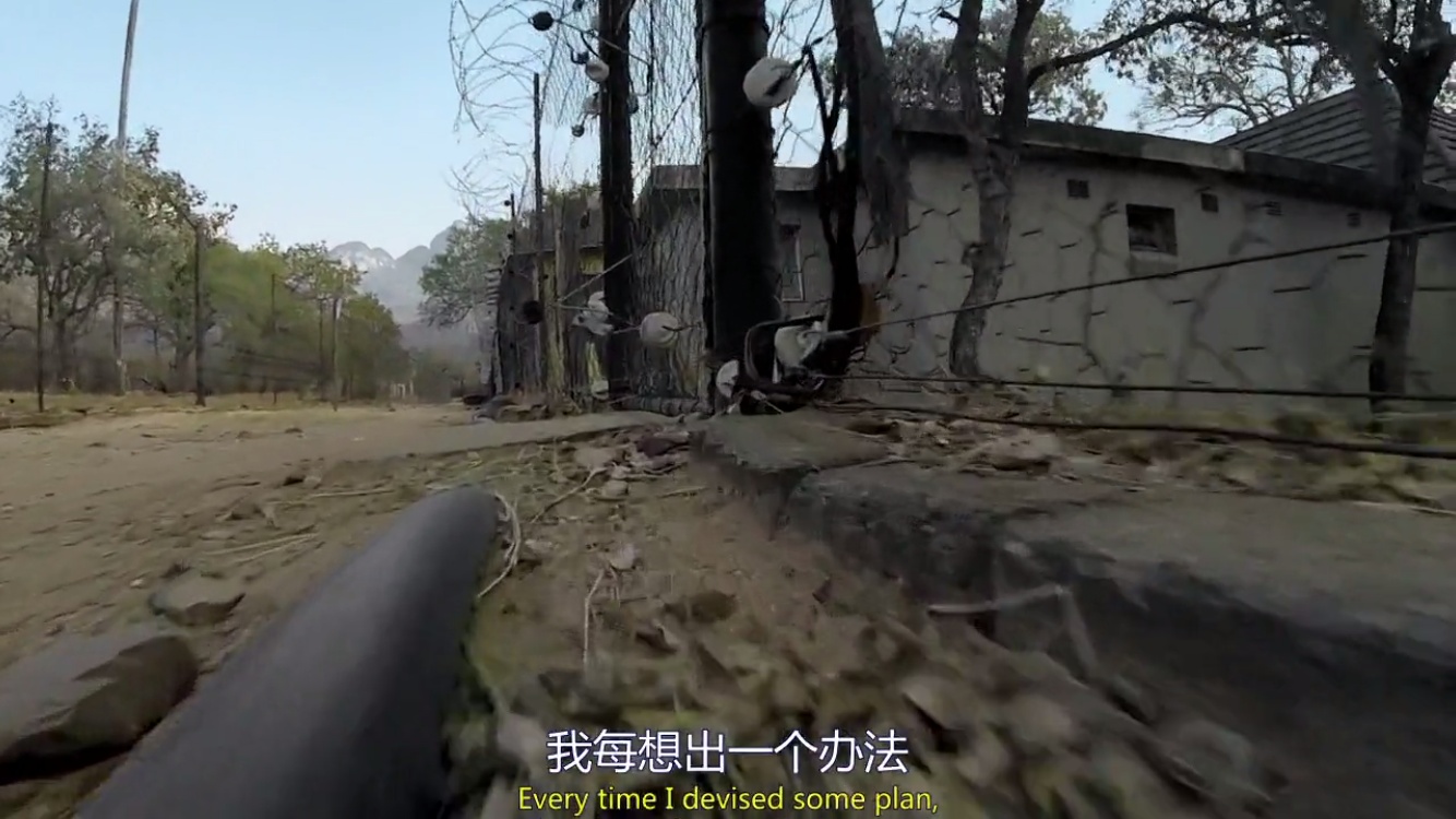 来自非洲的平头哥(蜜獾),一个要开挂的动物!