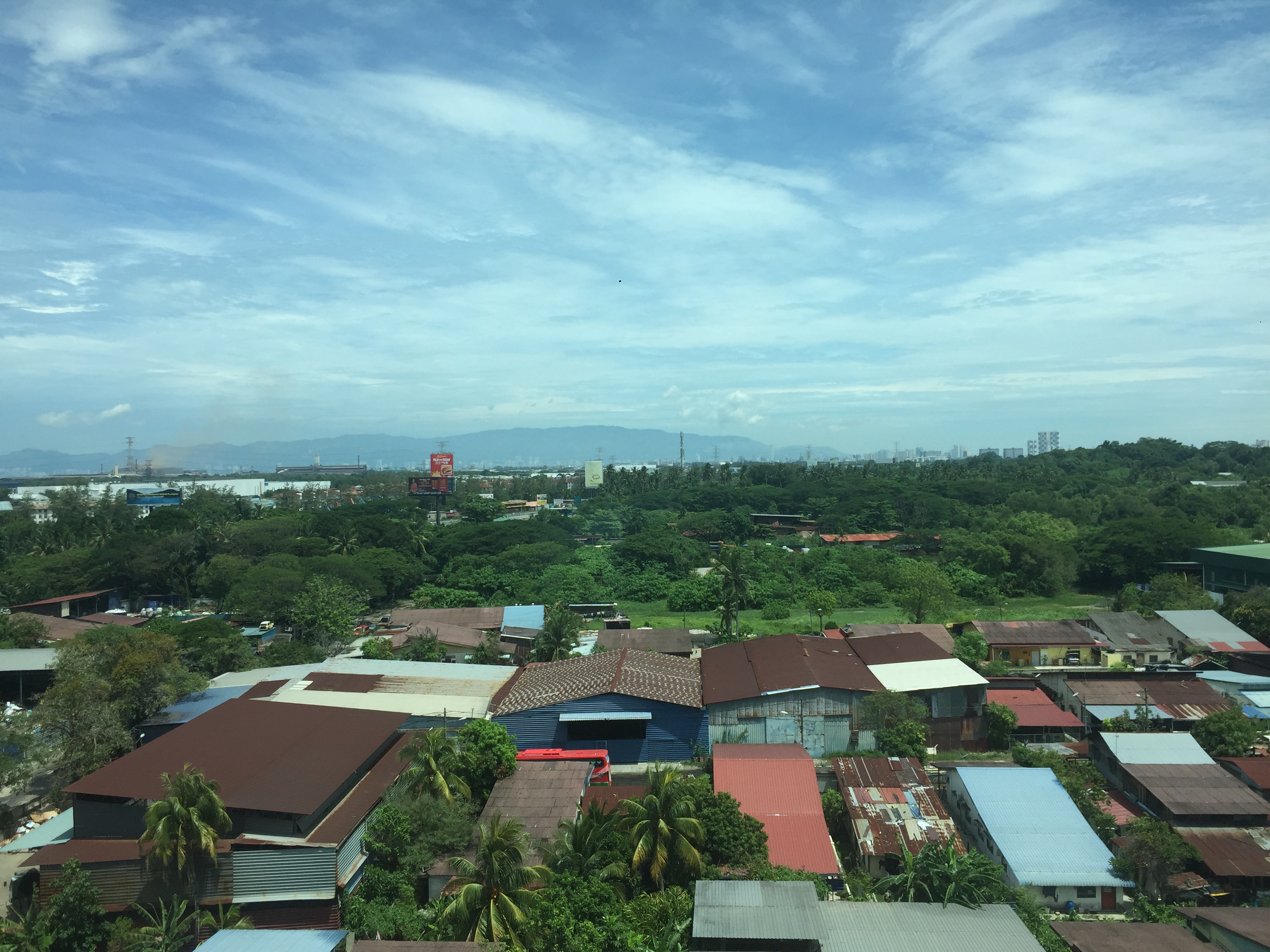 过背金龙是什么意思,过背金龙和高背金龙的区别