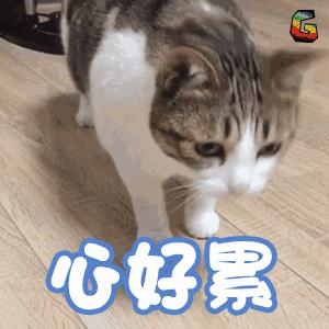 广州中医药大学第一附属医院预约挂号,广州预约挂号小程序