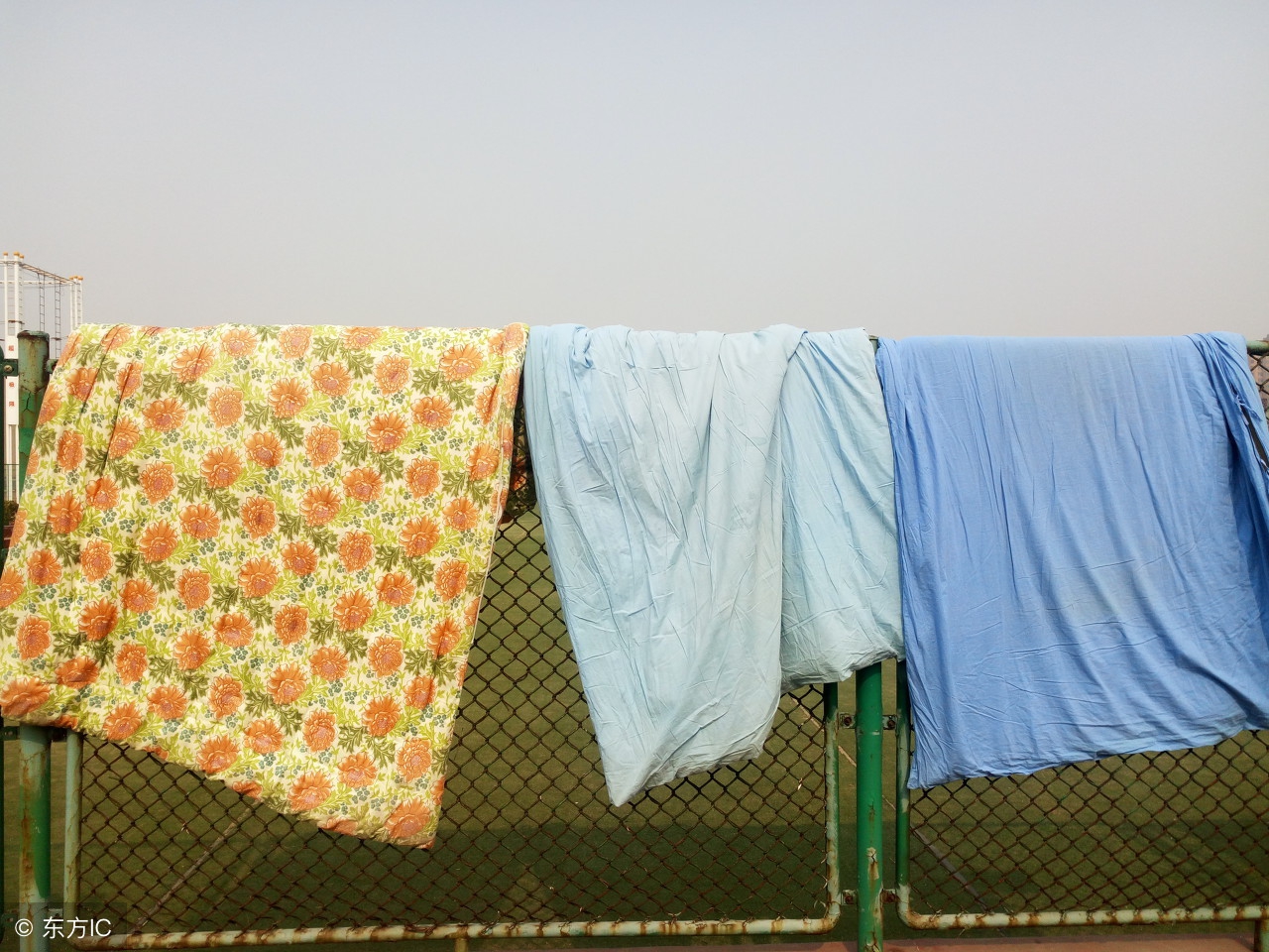 二十几年的出汗怪病，桑叶三天就治好