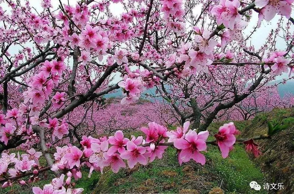 原创系列诗词,原创诗词五绝