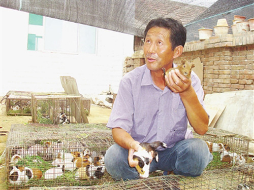 农民回农村创业项目有哪些,农村的项目有哪些