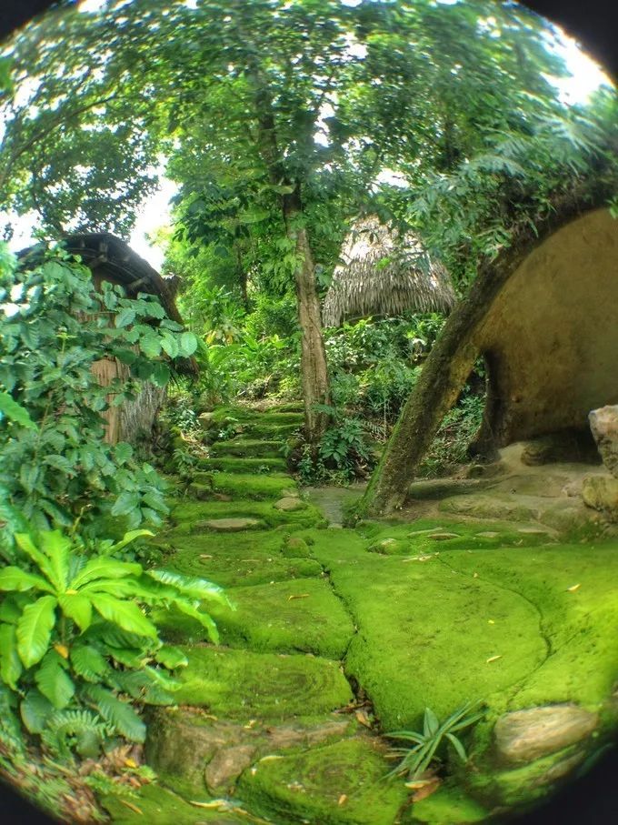 衣冠不整恕不招待厨师,衣冠不整不让进的饭店