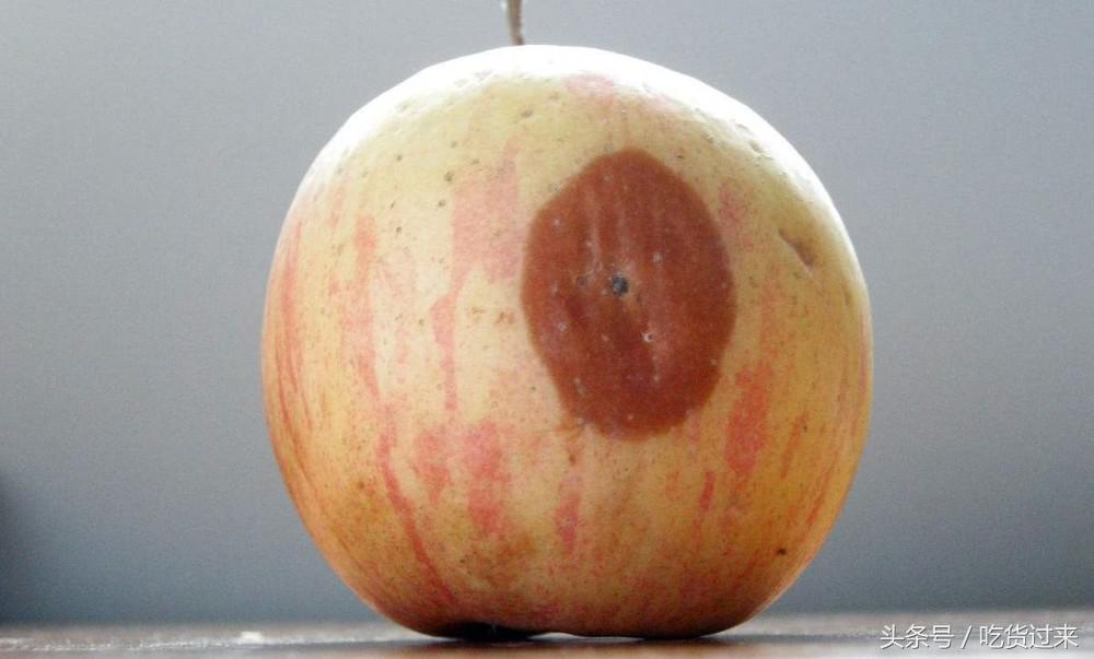 烂一小块的苹果还能吃吗,苹果很好吃但是烂了还能吃吗