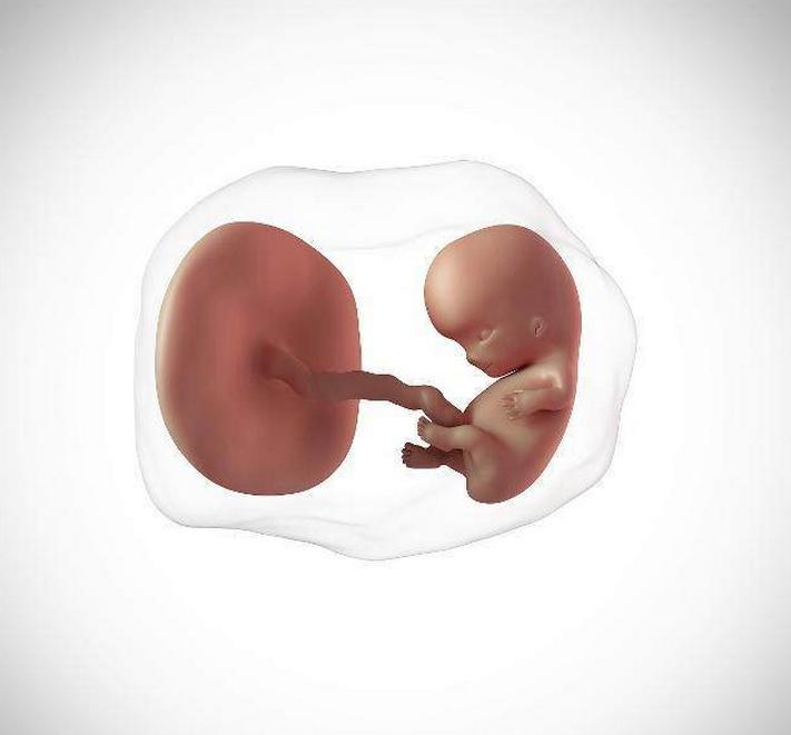 胎盘成熟度0级是什么意思,胎盘成熟度0级和1级有什么区别