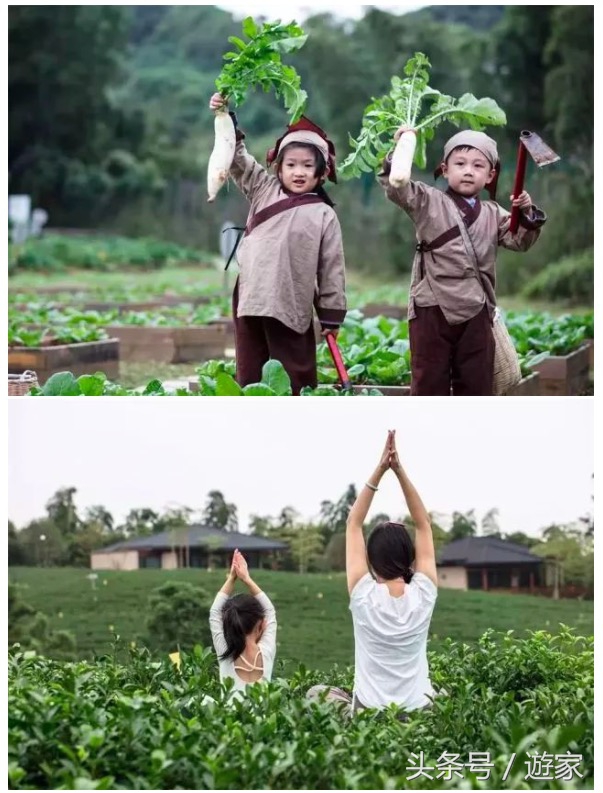 安吉亲子度假酒店有哪些,浙江十大亲子度假酒店
