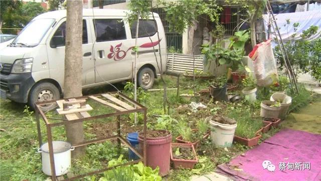 小区占用公共空间归执法局管吗,业主私占公共区域怎么办