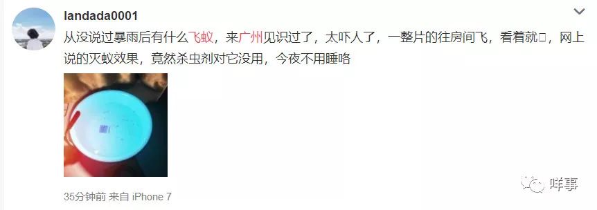骞夸笢鏆撮洦鑲囧簡闃茬┖璀︽姤,鑲囧簡骞垮畞鏆撮洦琚嚮