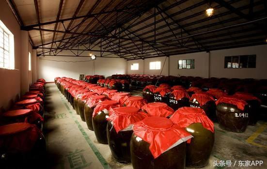 又到野生杨梅成熟的季节,又到了杨梅采摘季节