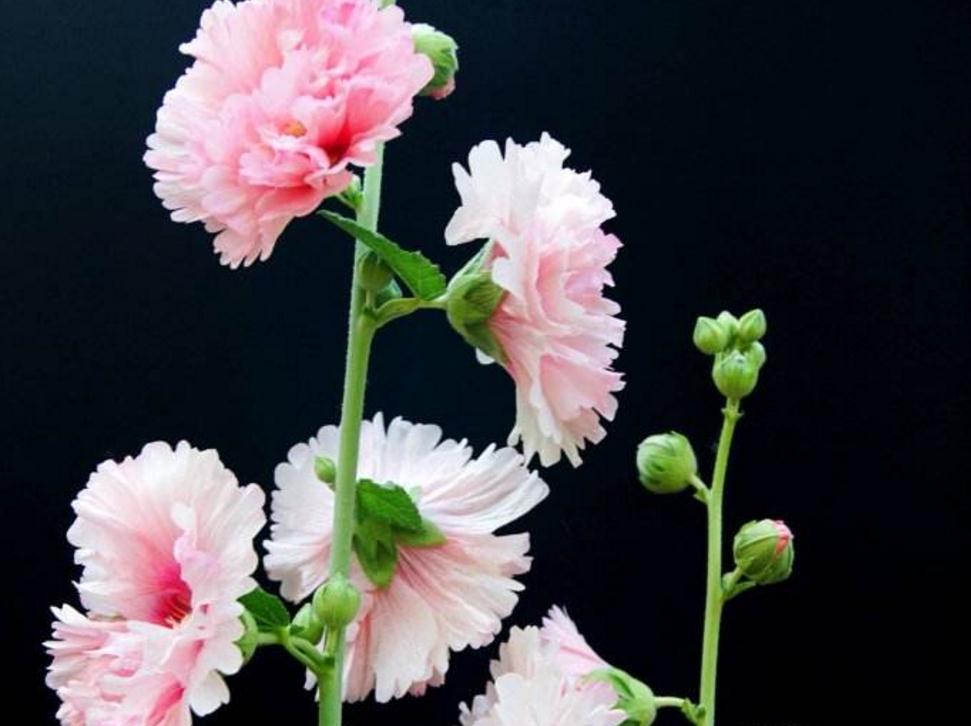 一个人身上透露这3个危险的信号,体内带毒是啥