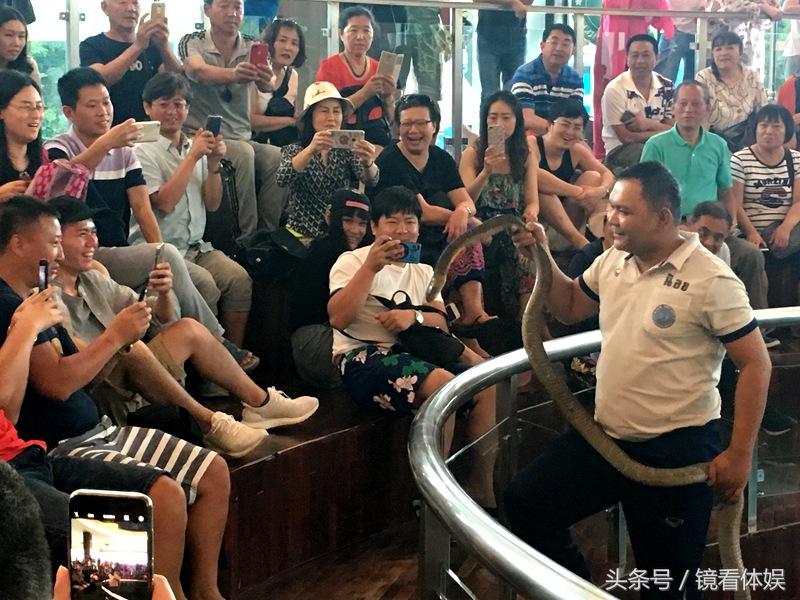 去泰国旅行团6天2000块靠谱吗,泰国旅游团购物骗局曝光