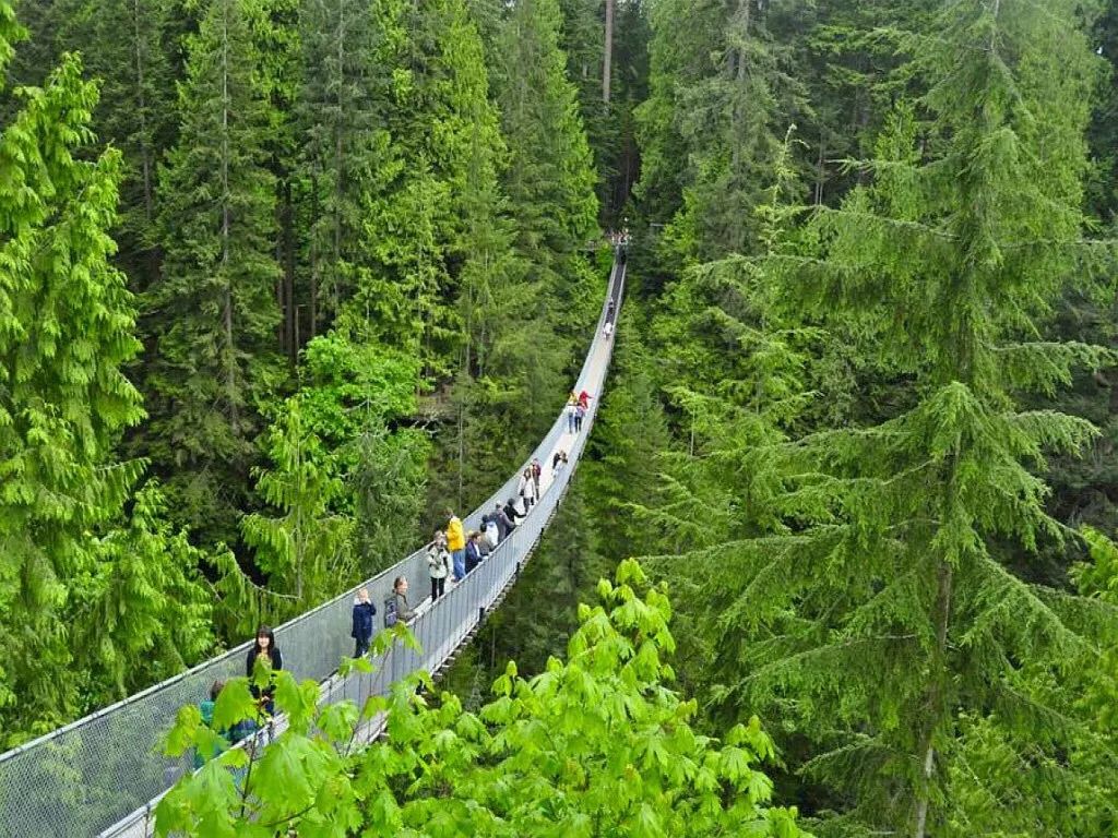 深圳机场温哥华航线,深圳直飞温哥华航线图