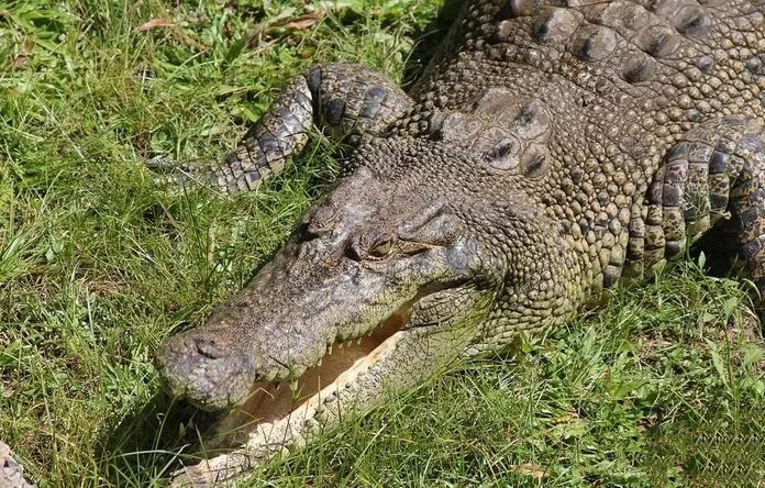 深圳机场温哥华航线,深圳直飞温哥华航线图