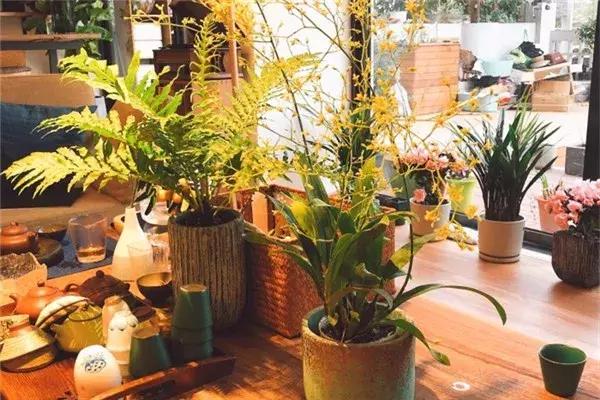 2018武汉新晋10家少女收割店，撩动你的心