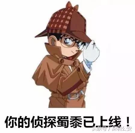 无证司机深夜撞人逃逸10小时后续,想跑没那么容易原版