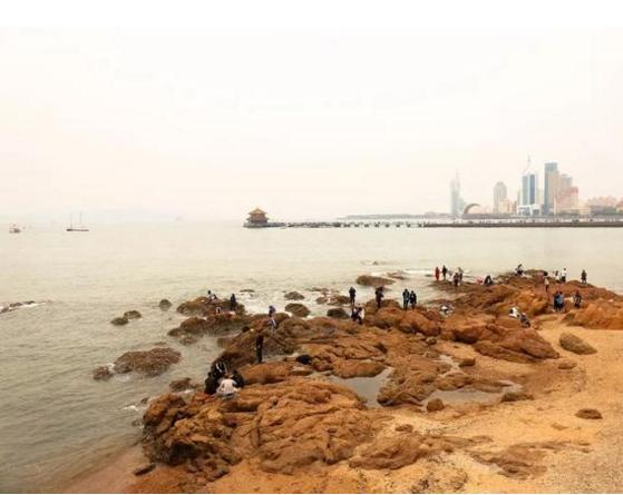 捡海鲜赶海,青岛哪里适合赶海捡海鲜