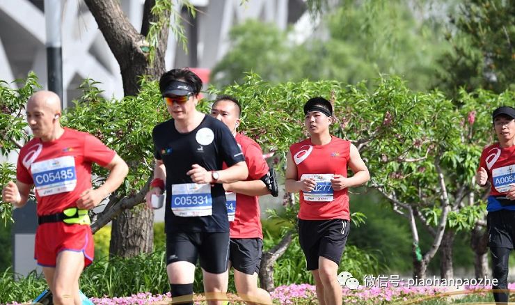 鸟巢马拉松：一部中小型的情景欢乐剧