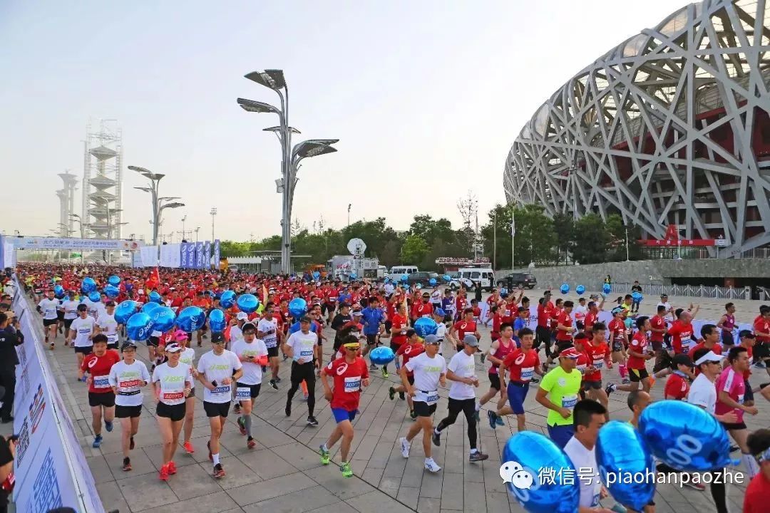 鸟巢马拉松：一部中小型的情景欢乐剧