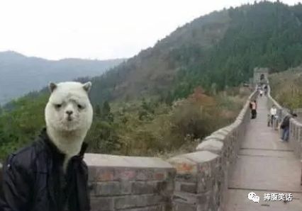 ps搞笑神图带原图的,ps大神脑洞大开p图太搞笑了