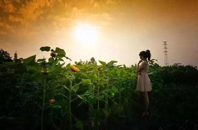 那么多关于温江的回忆,这让我怎么注销QQ