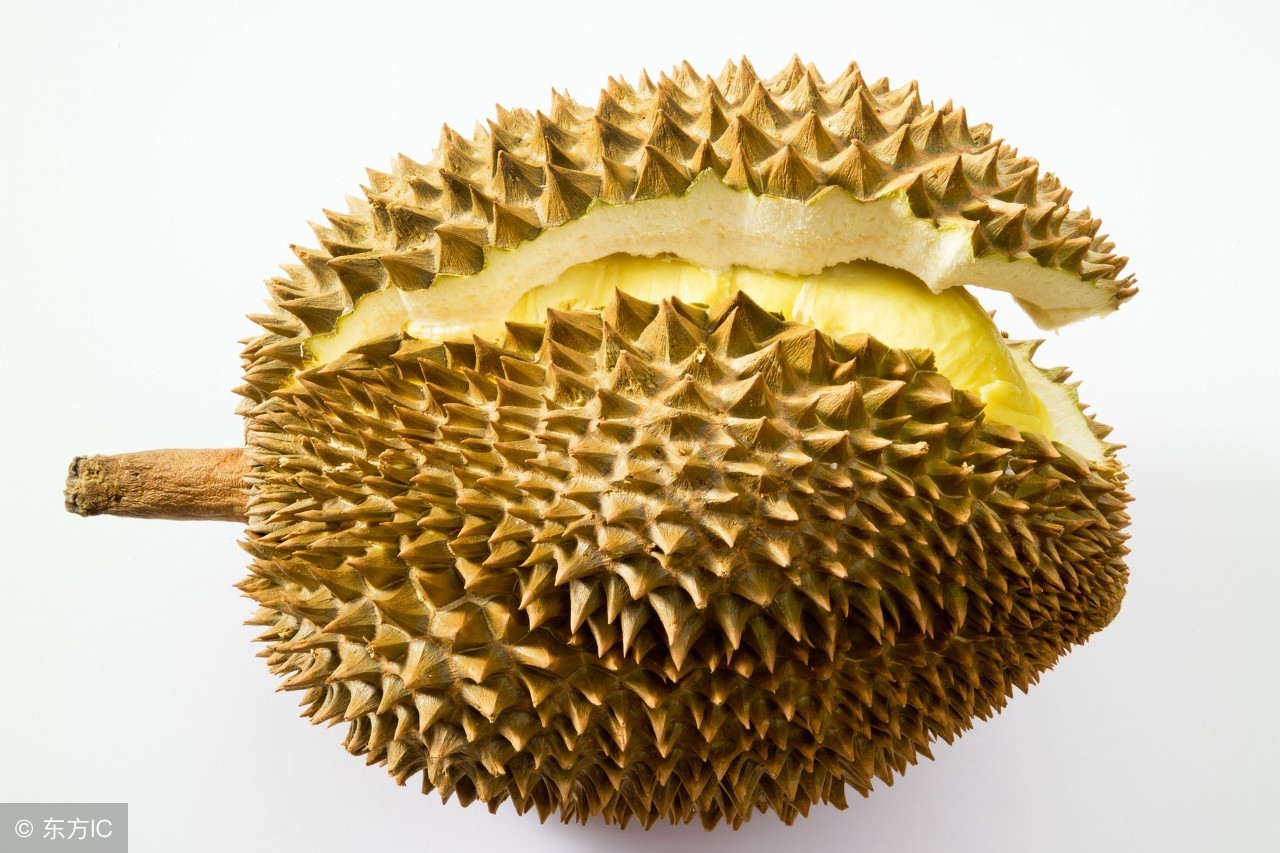 怎么判断托曼尼榴莲熟不熟,泰国金枕榴莲怎么看熟不熟