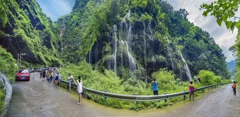 母亲节带老妈来赏花,母亲节带妈妈去公园