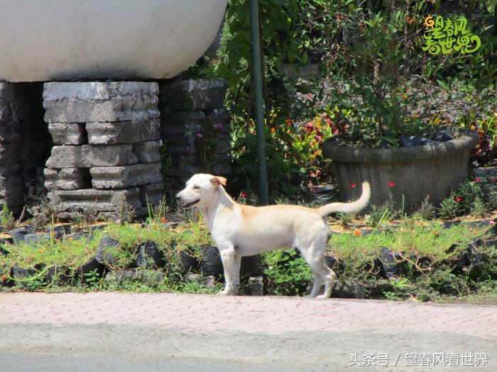 手绘旅行,东山岛旅游手绘游记