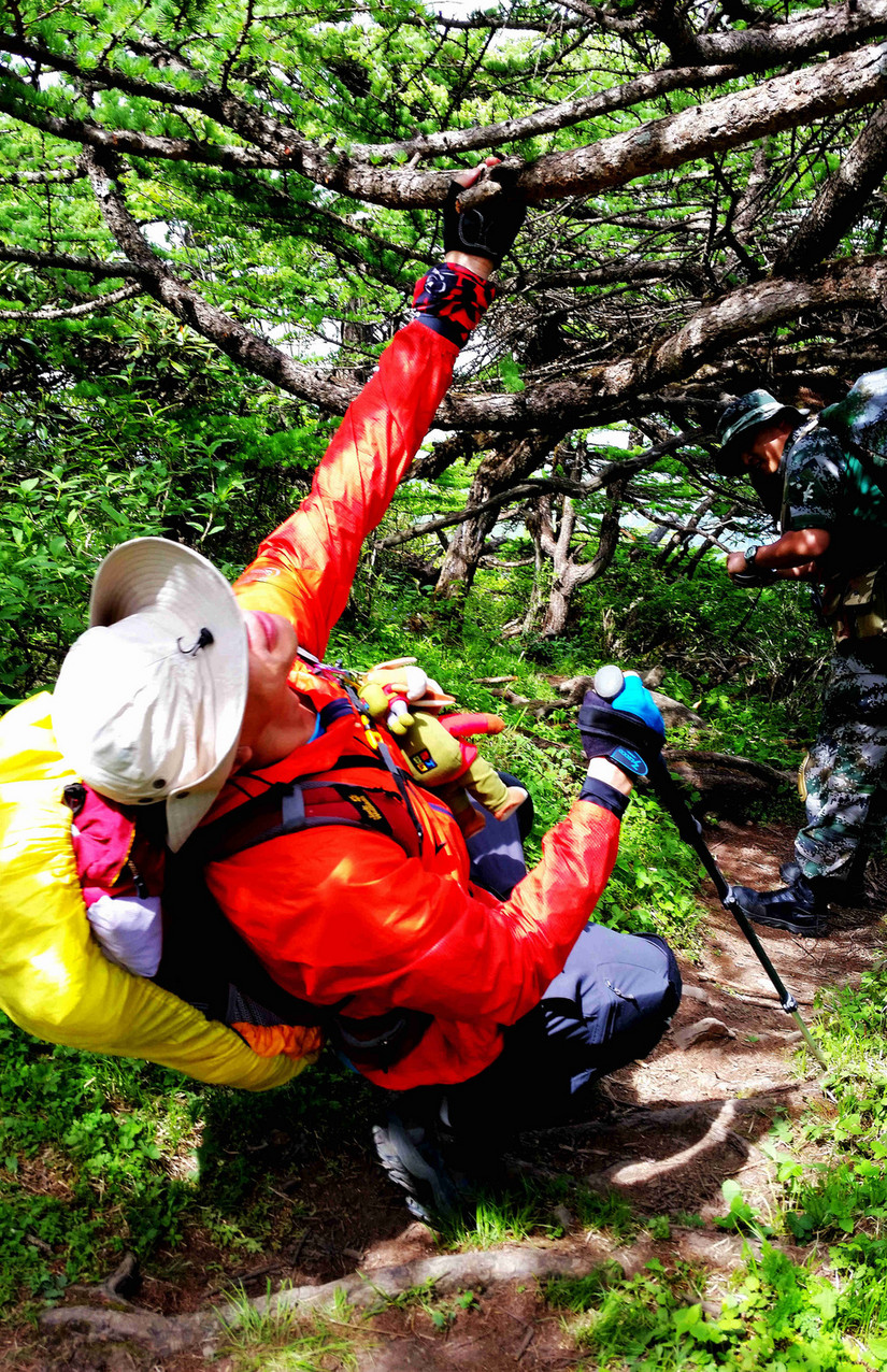 天华山-秦岭梁，又一条风景秀美的一日劲走线路