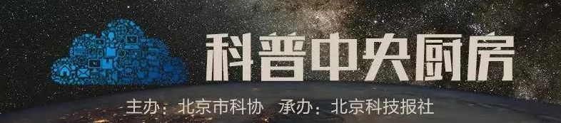 人肉搜索负面案例,恶意人肉搜索的案例