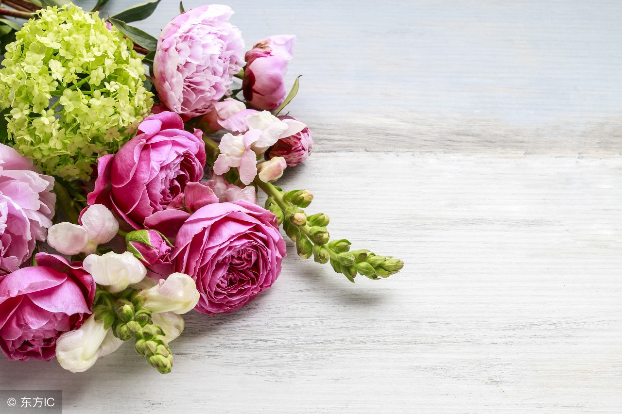 母亲节的礼物阅读,母亲节礼物食谱