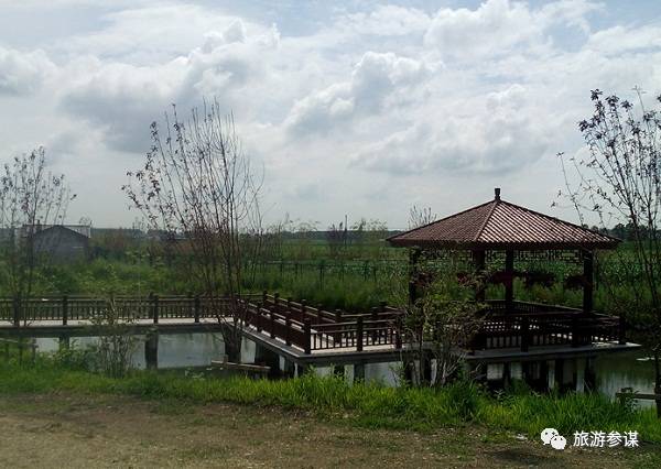 家有美景来欣赏何必外出看风景,家有美景何必远方