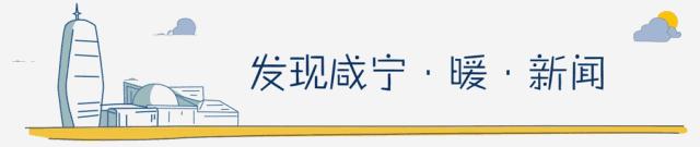 咸宁教师被表扬,2017年度咸宁市优秀教师名单