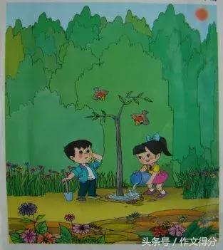 初中语文看图写话专题,小学语文看图写话范文大全20篇