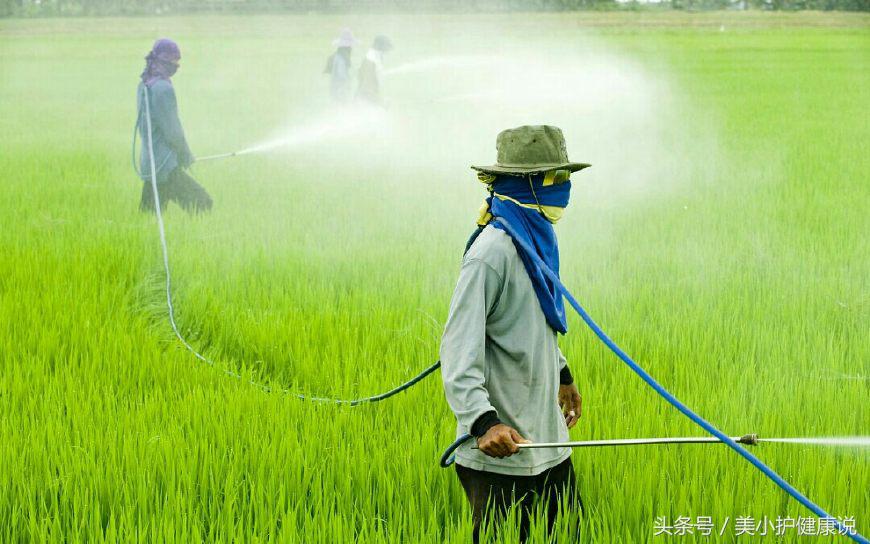 羊农药中毒的急救措施,农药中毒选择哪几类药