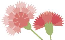 鎴戠殑鎴忕簿濡堝浼樼鑼冩枃,鎴戠殑鎴忕簿濡堝