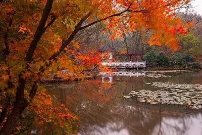 涓嶈缇℃厱鍑哄幓鏃呮父鐨勪汉,涓嶈缇℃厱鍑哄浗鏃呮父