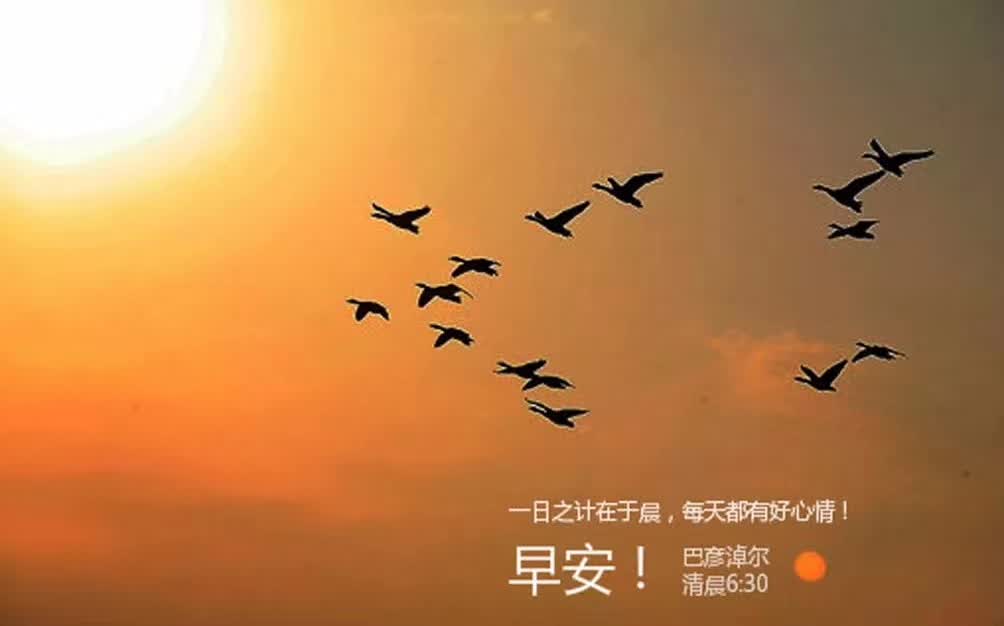 鸿雁知天下视频,2019鸿雁知天下