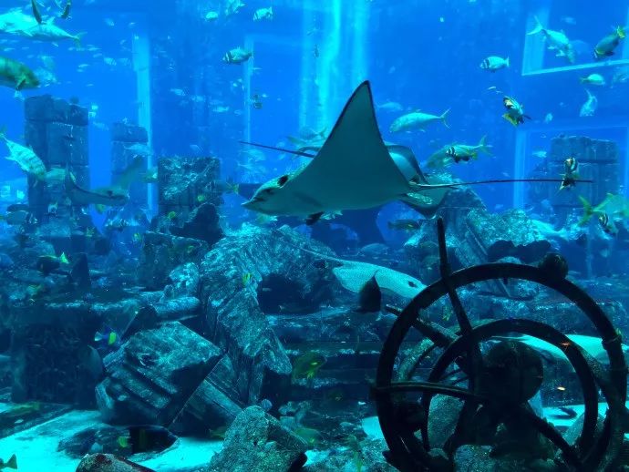 迪拜10大奢华酒店价格,迪拜最贵的酒店780平多少钱一宿