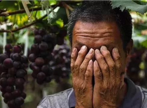 怎样解决农产品滞销的问题,农产品滞销及解决方法