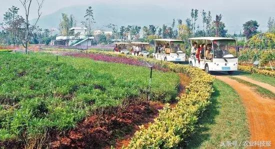 农村低成本创业项目小本生意投资,利用农村闲置劳动力创业的好项目