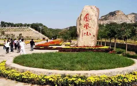 困鹿山皇家古茶园图片,普洱困鹿山皇家古茶园中的茶王树