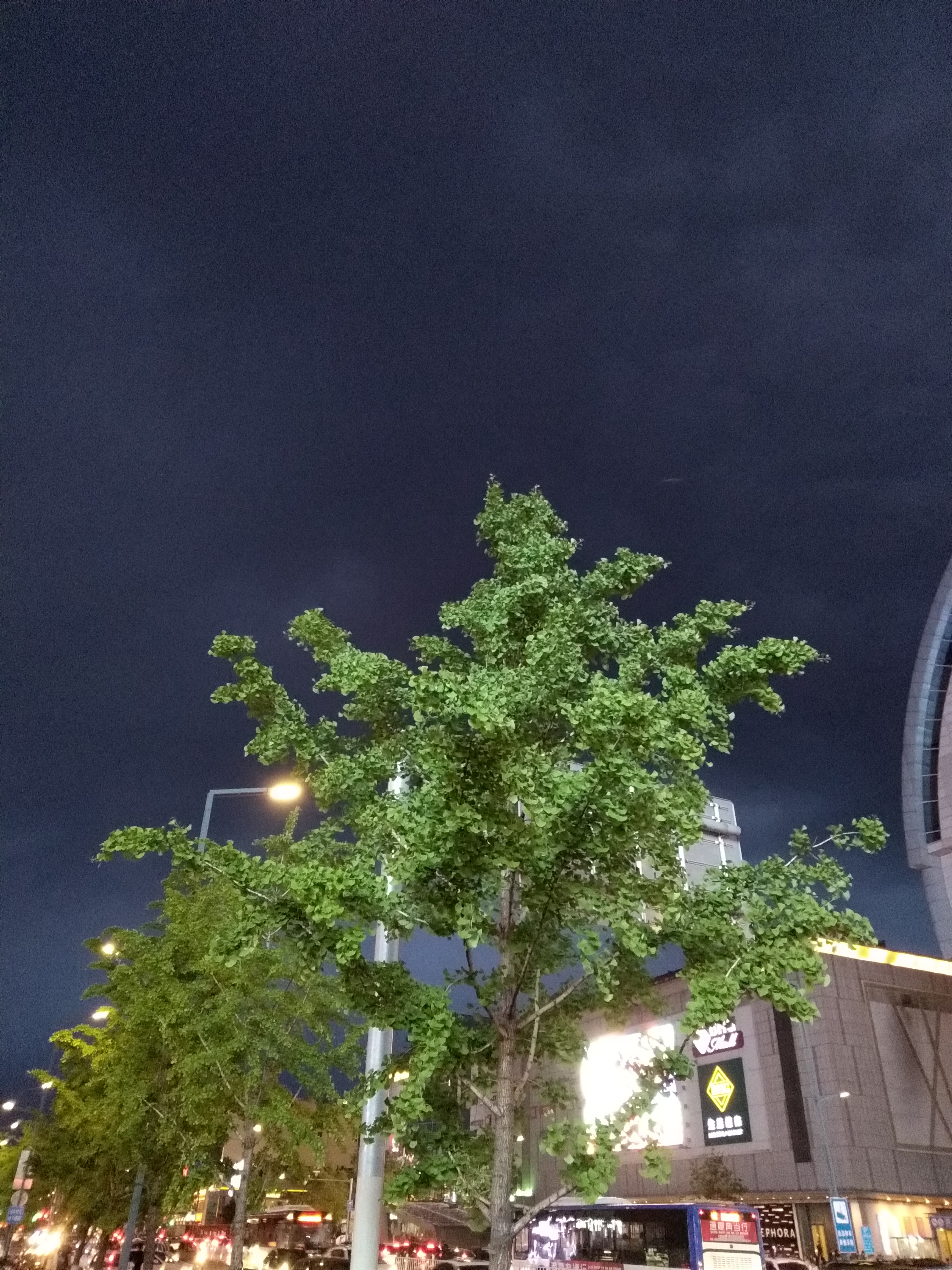 坚果3全部功能测评,坚果3浅金色测评