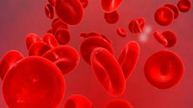 为什么a血型招蚊子叮咬,哪一类型的血型容易被蚊虫叮咬